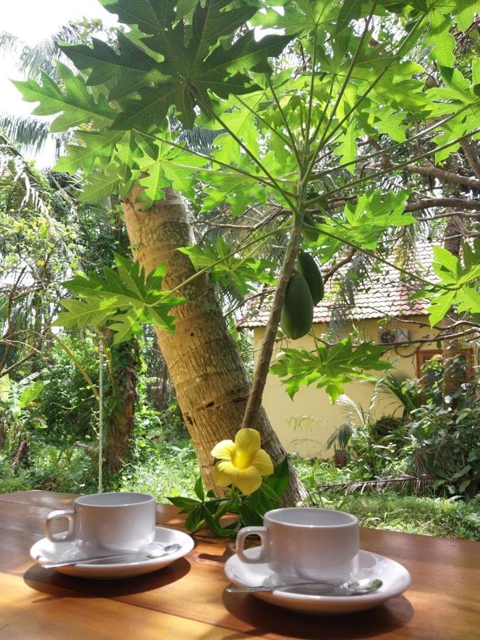 Ferienwohnung Phu Quoc Pomelo Garden Exterior foto