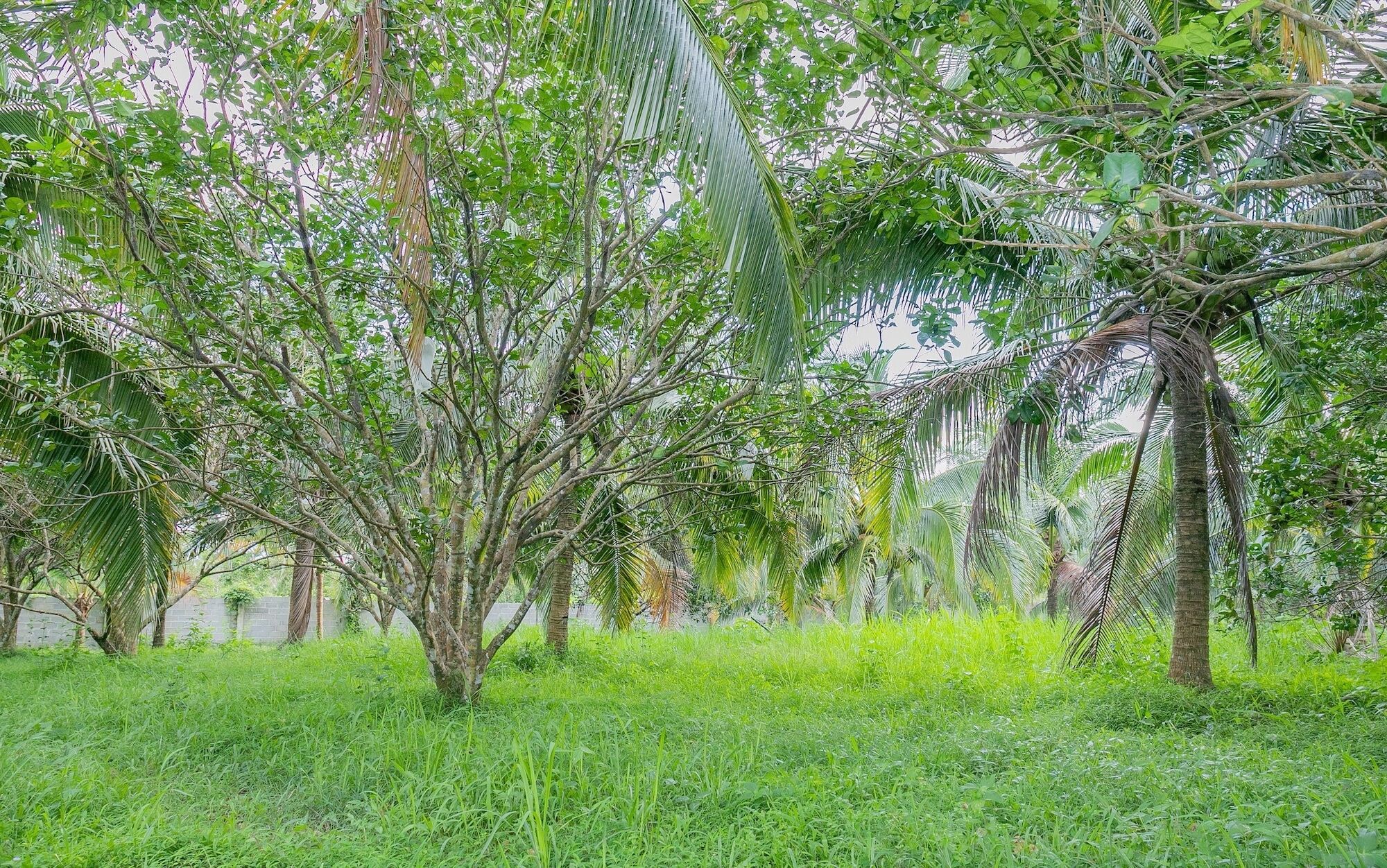 Ferienwohnung Phu Quoc Pomelo Garden Exterior foto